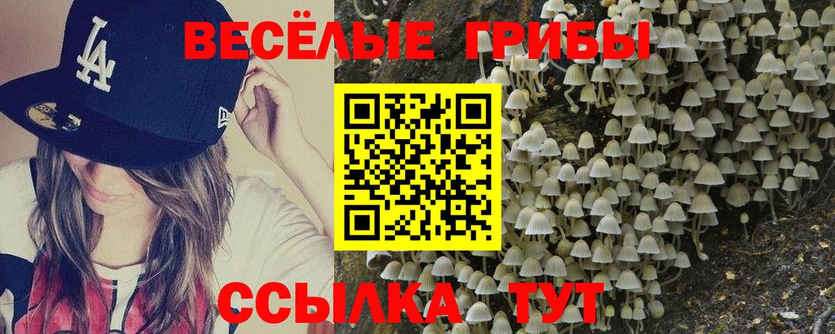 цены наркотик  Псилоцибиновые грибы Cubensis  Балашиха  Вход с VPN  Псилоцибиновые грибы мицелий 