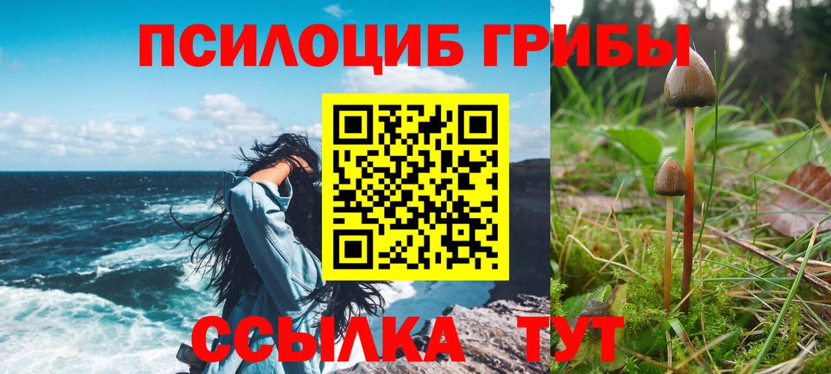 ГАШИШ Балашиха