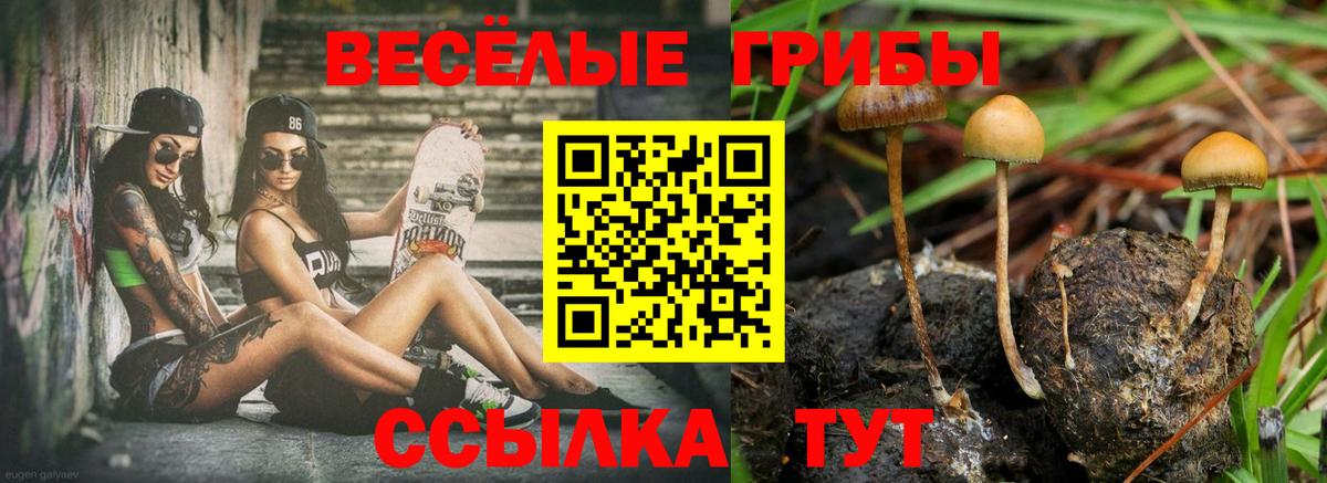 Галлюциногенные грибы Magic Shrooms Балашиха